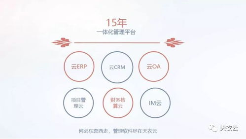 天衣CRM客戶管理系統 賦能餐飲加盟企業，鑄就品牌發展新引擎